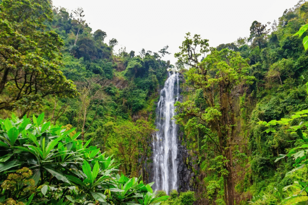 Materuni Waterfall WasafiBlog