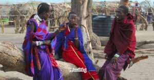 WasafiBlog Travel Guide Trip to Tanzania