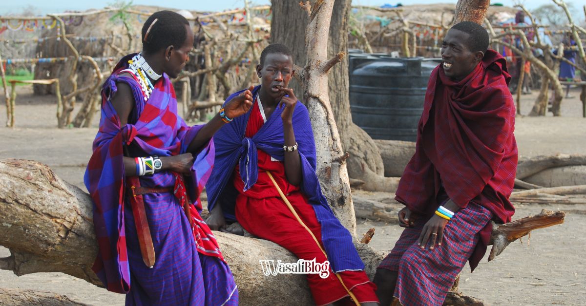 WasafiBlog Travel Guide Trip to Tanzania