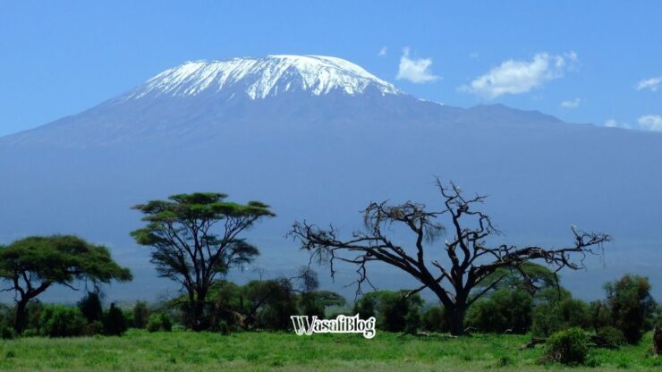 WasafiBlog Travel Guide Climbing Kilimanjaro
