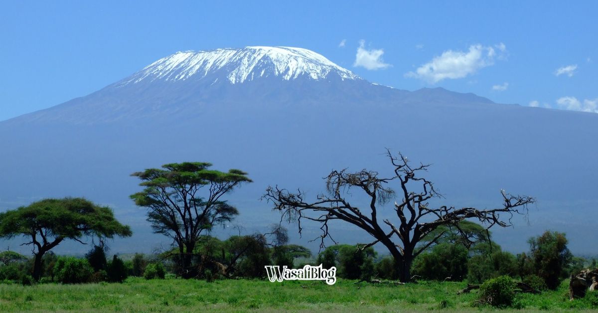 WasafiBlog Travel Guide Climbing Kilimanjaro
