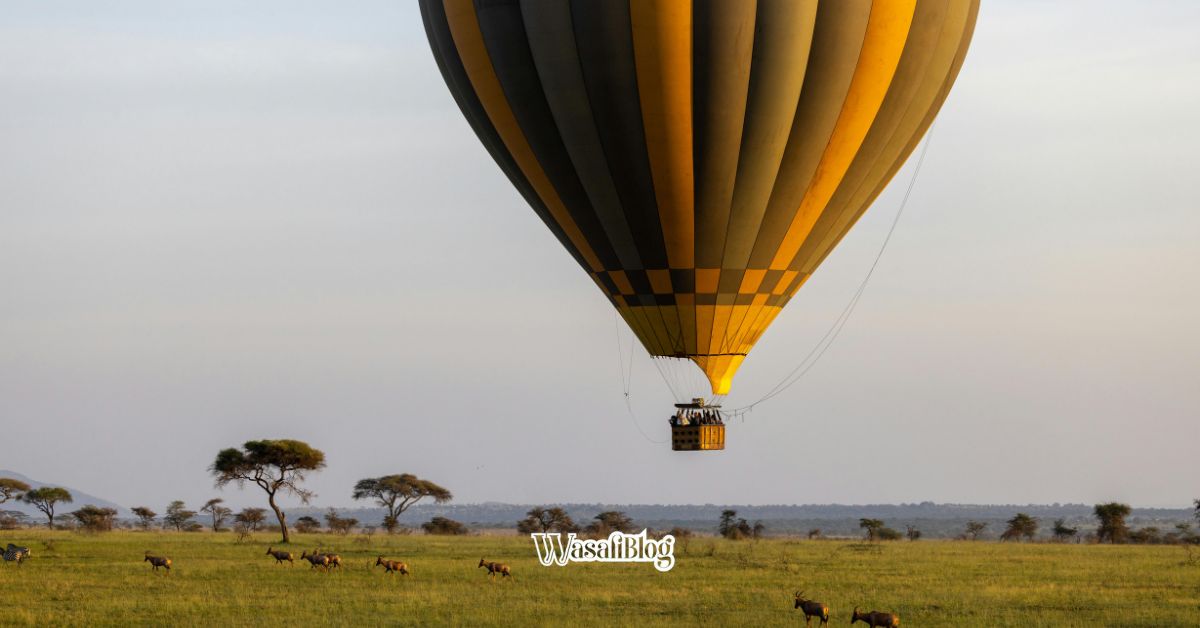 Ballooning vs game drives safaris in tz wasafiblog