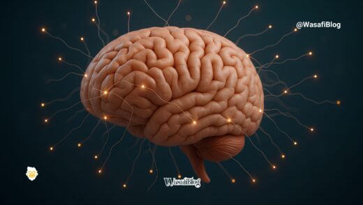 Boost your intelligence WasafiBlog